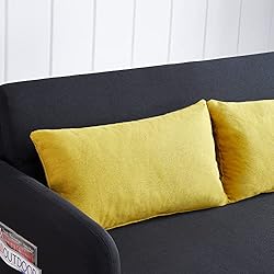 ERYE 3 in 1 Upholstered Sofa Loveseat Convertible