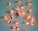 FANStek Artificial LED Orchid Light Warm White (String Lights)
