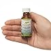 Native Remedies K-OK Kiddie Calmer Pillules, 20 Grams