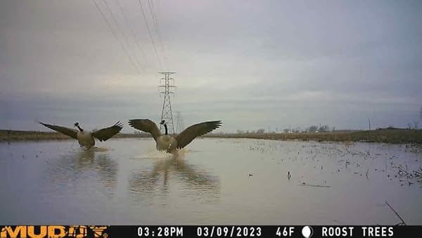MUDDY MITIGATOR CELLULAR 24MP IMAGING TRAIL CAMERA WITH 80 FEET DETECTION AND FLASH RANGE AND 0.7-SECOND TRIGGER SPEED