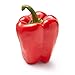 Red Bell Pepper, One Medium primary