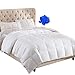 WhatsBedding Feather Comforter,Filled with Feather and Down Fiber, White King Size All Season Duvet Insert, Luxurious Hotel Bed Comforter, 100% Cotton Cover,Medium Warmth with Corner Tabs,106x90 Inch