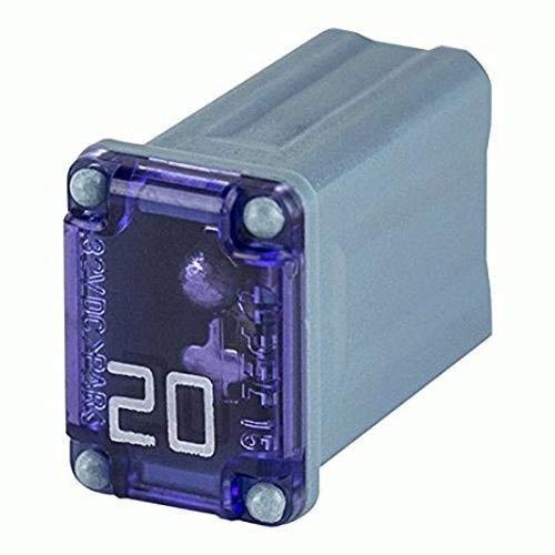 20 Pack Automotive Micro Cartridge Fuses Low-Profile FMM Fuses Kit MCASE Type(5PCS 15Amp 20Amp 5PCS 30 Amp 5PCS 40 Amp)