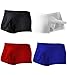 WINDAY Men's Underwear G-String Thong Elastic Smooth Bikini Briefs N01