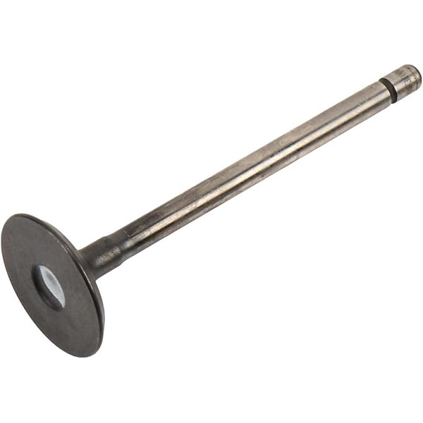 Amazon.com: GM Genuine Parts 12627156 Engine Exhaust Valve 