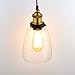 Glass Pendant Light - Industrial Edison Mini One-Light Clear Fixture Antique Lighting ALHAKIN