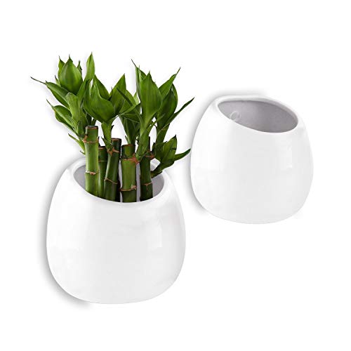 T4U 3.9 Inch Wall Mounted Succulent Hanging Planter Ceramic Flower Plant Pot Pack of 2 – Small White, Home and Office Desktop Decoration Ideal Gift for Wedding, Birthday, Party, Christmas