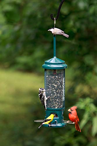 Squirrel Buster Legacy Bird Feeder - Image 2