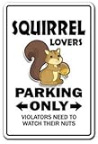 SQUIRREL LOVERS Parking Sticker gag novelty gift funny hunter rodent park animal