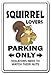 SQUIRREL LOVERS Parking Sticker gag novelty gift funny hunter rodent park animal