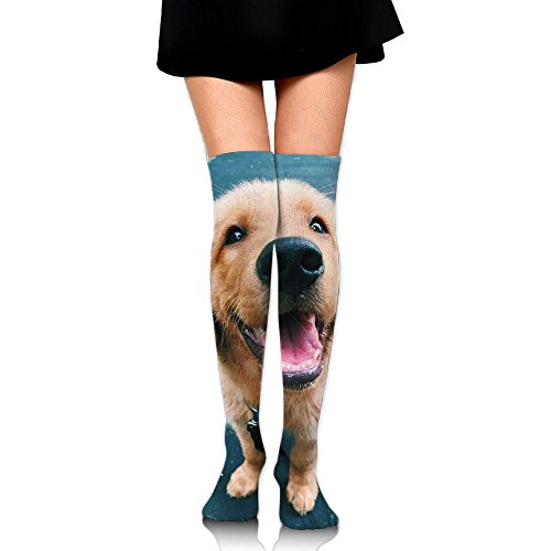 slim fit dress slacks Pet Face and Paw Print Socks main image 0