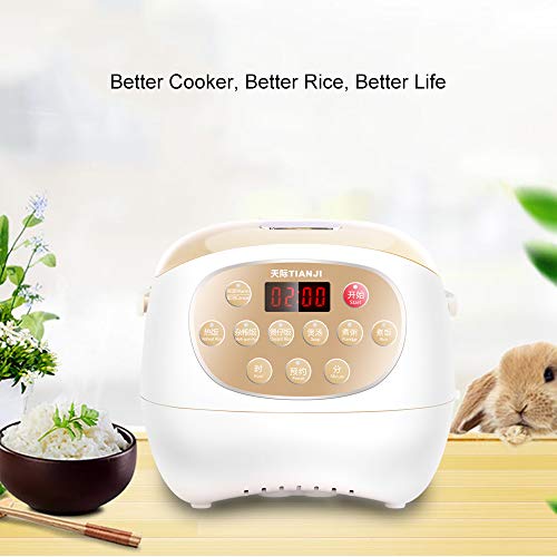 Tianji Ceramic Pot Digital Rice Cooker FD30D (Update from FD20Dï¼‰3L, Porridge, Soup maker