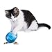 PetSafe FUNKitty Egg Cersizer Interactive Toy and Food Dispenser Size:Pack of 2