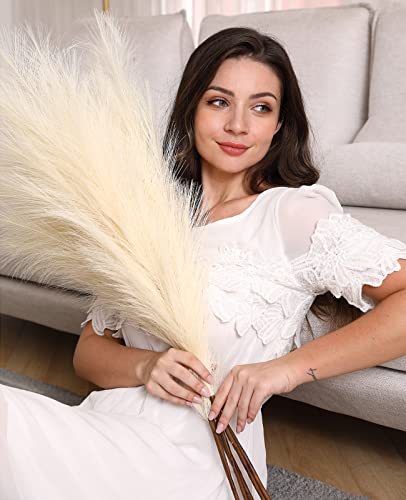 Fesaizwi Herbe De La Pampa 5pcs 100cm Pampas Artificiels pour Mariage DéCorations Home Garden Party Decor Fleur De Simulation (Beige)