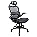 High Back Ergonomic Adjustable Office Chair with Breathable Mesh, Weight Capacity Over 300Ibs Passed BIFMA, Adjustable Headrest, Backrest and Flip-up Armrests, Computer Chair, Executive Swivel Chair