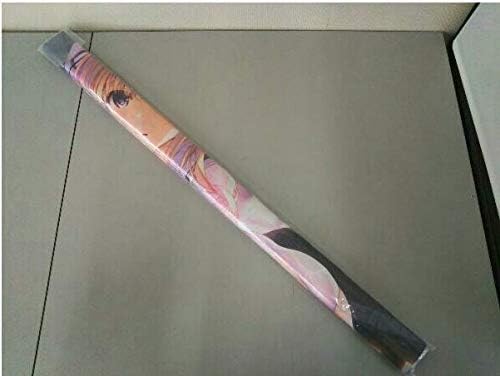 Amazon 冴えない彼女の育てかた 沢村 スペンサー 英里奈 ゲーマーズ Blu Ray全巻購入特典 深崎暮人書き下ろしb2タペストリー アニメ 萌えグッズ 通販