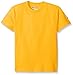 Duofold Boys' Big Short Sleeve Jersey Tee, Gold, Large