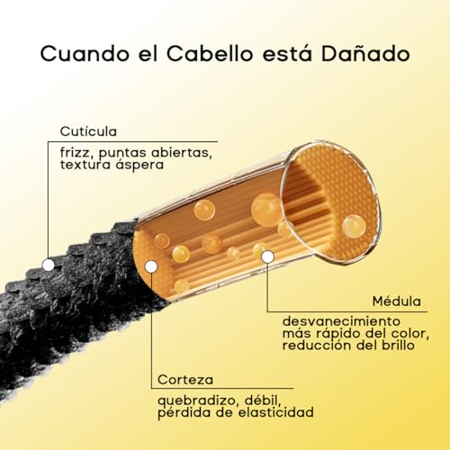 HALOVIDA Aceite para Cabello, Protector Térmico, Antifrizz, Fortalece el Cabello y lo Nutre en Profundidad, Dejando un Acabado Brillante y Sedoso, Apto para Todo Tipo de Cabello, con Fórmula Protectora del Color, 80 ml