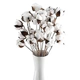 GTIDEA 20Pcs 23 inches Natural Dried Cotton Stem Farmhouse Artificial Flower Filler Floral Arrangement DIY Home Party Decor