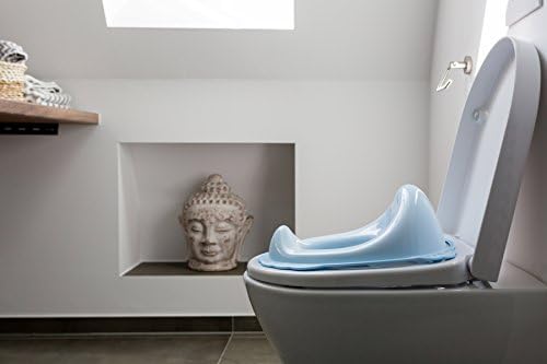 Orinales Y Taburetes Kindsgut Asiento Adaptador Para El Wc Azul Celeste Bebe Thebigonealaska Com
