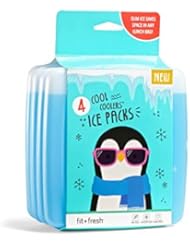 Paquetes de hielo reutilizables Fit & Fresh Cool Coolers, 1 juego de 4, transparentes