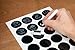 12 Magnetic Spice Containers & 4 Type Of Spice Labels by Uplifebrothers - For Fridge, Grill & More - Stainless Steel Round Jars for Condiments and Craft Stuff. Clear Lid, Sift and Pour