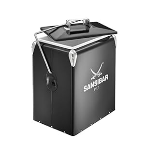 RÖSLE Kühlbox Retro Sansibar, ABS Stahl, schwarz, 43,5 x 34,5 x 23,5 cm, ca. 15 l