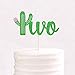 Cactus Two Cake Topper Mexican 2nd Birthday Succulent Theme Fiesta Cake Decor Double Sided