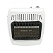 Dyna-Glo BF10NMDG 10,000 BTU Natural Gas Blue Flame Vent Free Wall Heater