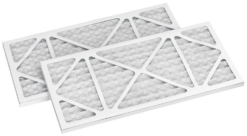 DELTA 50-858 Pleated Outer Filter for 50-868 (2-Pack)