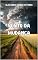 Livro VENTO DA MUDANÇA