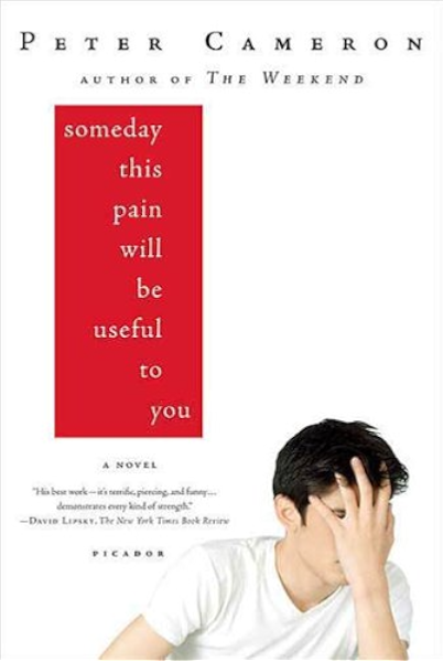 Amazon Com Someday This Pain Will Be Useful To You A Novel Ebook