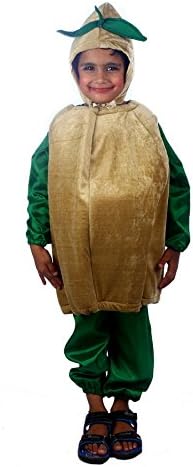 Shree Balaji Dress Big Boys' Potato Vegetable Fancy Dress Cosplay Costume Medium Brown