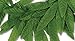 Tropical Fern Leaf Headband 20
