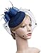 Cizoe Fascinator Hair Clip Pillbox Hat Bowler Feather Flower Veil Wedding Party Hat Tea Hat(1-Navy)