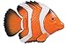 SwimWays Rainbow Reef Mini Fish - Orange/White