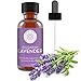 Pure Body Naturals Bulgarian Lavender Essential Oil by Pure Body Naturals, 1 Fluid Ounce - 100% Pure, Independently Tested, Therapeutic Grade Lavender Essential Oil for Diffuser Aromatherapy