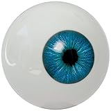 WESTMINSTER INC. Entertaining The Amazing All Seeing Eye Ask It Anything and It Will Reveal