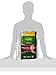 Depend FIT-FLEX Incontinence Underwear for Women, Maximum Absorbency, S/M, Tan (Packaging may vary)
