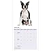 Boston Terrier  12 Month 2016 Mini Calendar