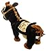 My First Pony Walk Along Toy Stuffed Plush Pony Toy, Realistic Walking Actions with Horse Sounds and Music (Colors May Vary)
