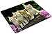 Custom Cute Cat Mouse Pad Gaming Rectangle Mousepad CM-222