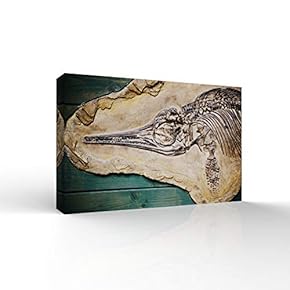 Canvas Wall Art - Animal Fossil Office Poster Prints - Modern Home Art Stretched and Framed Ready to Hang - 12x18 inches