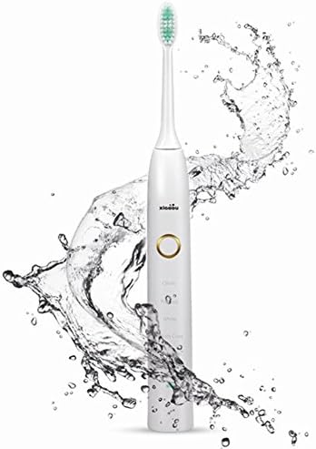 Xiaooubrush 5 models Clean Rechargeable Ultrasonic Electric Toothbrush with two Brush Heads 3 Colors ZR501 (White)