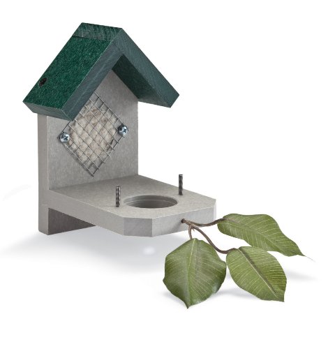 Songbird Essentials SE7018 Hummer Helper Nesting Material Refill