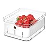iDesign-71640EU-Fridge-Storage-Box-for-Fruit-and-Berries-Kitchen-Storage-Made-of-BPA-Free-Plastic-Kitchen-Organiser-for-Food-with-Built-in-Drip-Tray-Clear-216-cm-x-165-cm-x-95-cm iDesign71640EU Refrigerator Box for Fruit and Berries, BPA-free Plastic Storage Container, Kitchen Food Box with…