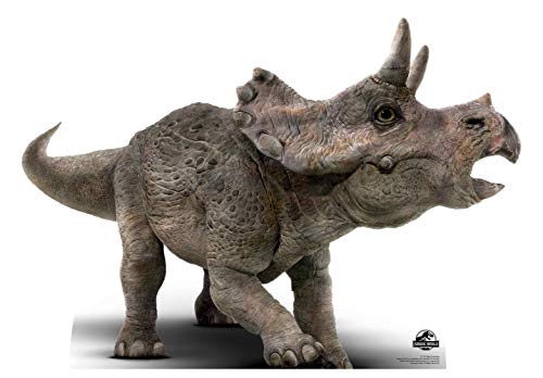 Baby Triceratops