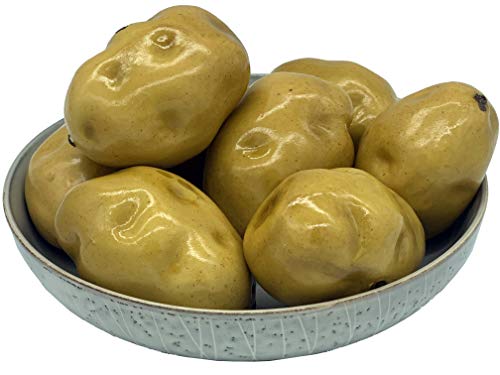 Realistic Fake Potato Set 8 PCS - Realistic 'Just Washed' Potatoes - Lifelike Fake Vegetables for Decoration, Artificial Food Props, and Early Childhood Development