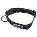 Max and Neo NEO Nylon Buckle Reflective Dog Collar - We Donate a Collar to a Dog Rescue for Every Collar Sold (Large, Black)