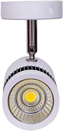 OHRIM 9 Watts Warm White Led Wall Light for Focusing Wall or Photo Frame